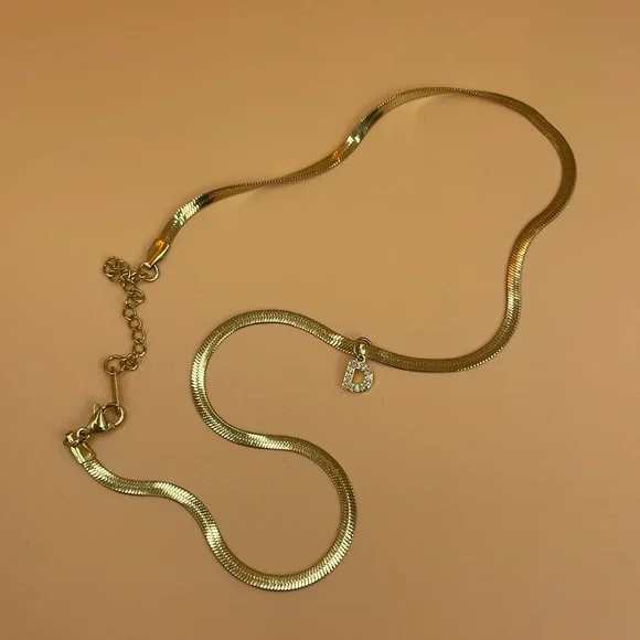 Titanium Steel and Zircon Snake Adjustable Length Necklace With Initial - Picture 3 of 6